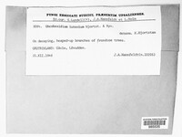 Image Associated With the Occurence